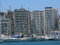 Segelschiffe im Hafen von Palma de Mallorca
