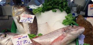 frischer Fisch zubereitet in Santa Catalina Bar d´es Mercat Palma