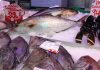 Fisch kaufen und zubereiten lassen in der Markthalle Santa Catalina Fisch kaufen und zubereiten lassen frischer Fisch zubereitet in Santa Catalina Bar d´es Mercat Palma