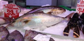Fisch kaufen und zubereiten lassen in der Markthalle Santa Catalina Fisch kaufen und zubereiten lassen frischer Fisch zubereitet in Santa Catalina Bar d´es Mercat Palma