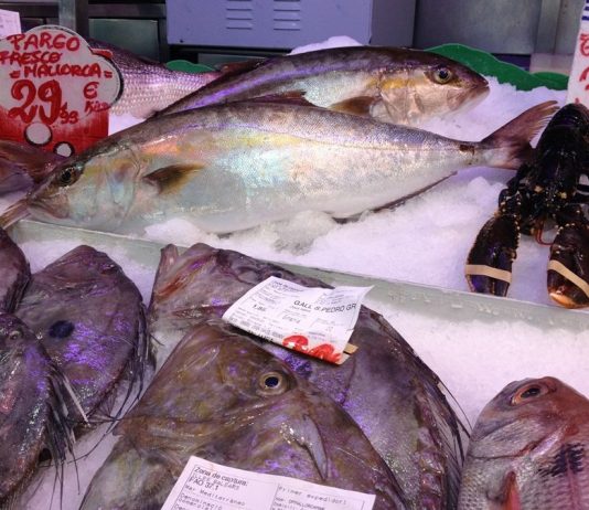 Fisch kaufen und zubereiten lassen in der Markthalle Santa Catalina Fisch kaufen und zubereiten lassen frischer Fisch zubereitet in Santa Catalina Bar d´es Mercat Palma