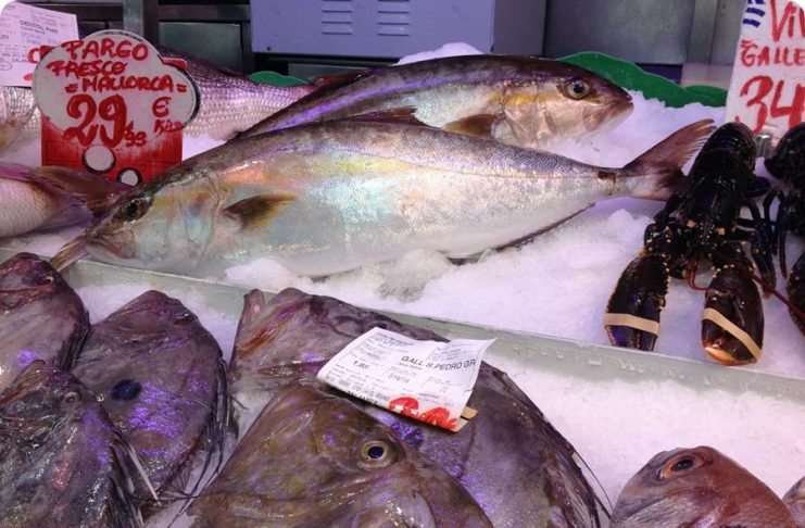 Fisch kaufen und zubereiten lassen frischer Fisch zubereitet in Santa Catalina Bar d´es Mercat Palma